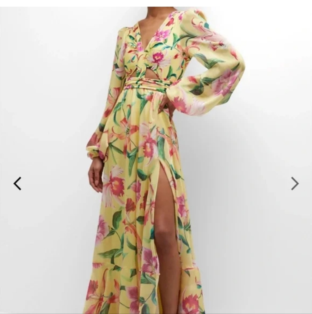 PatBO Vibrant Floral Long Sleeve Dress
